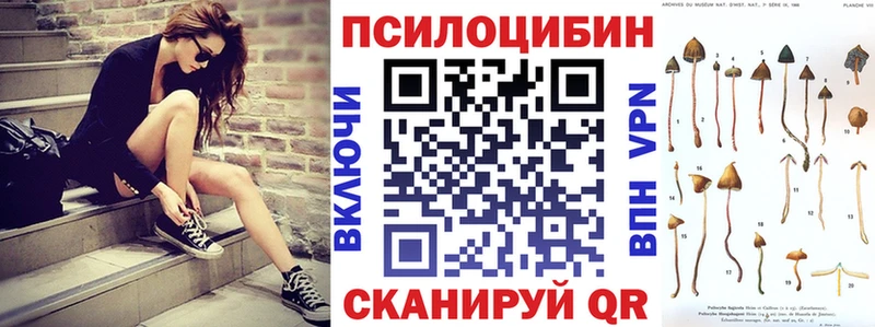 shop какой сайт  Энем  Псилоцибиновые грибы мухоморы  где найти наркотики 